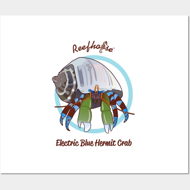 Electric Blue Hermit Crab Wall Art by Reefhorse